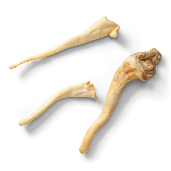 Lamb Tails - (1kg) - Jalex Pet Products 