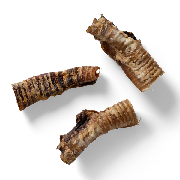 NAW Beef Trachea -1kg - Jalex Pet Products 