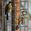 The Nuttery Original Nut Squirrel Proof Wild Bird Feeder - Jalex Pet Products 