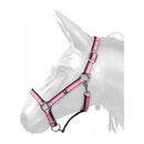 W-Horse Headcollar Harvey - Jalex Pet Products  W-Horse Headcollar Harvey
