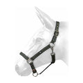 W-Horse Headcollar Harvey - Jalex Pet Products  W-Horse Headcollar Harvey