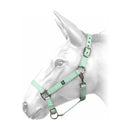 W-Horse Headcollar Harvey - Jalex Pet Products  W-Horse Headcollar Harvey