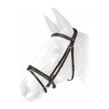 Whitaker Flash Bridle Barton - Jalex Pet Products 