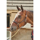 Whitaker Headcollar Leather Ready To Ride Black - Jalex Pet Products  Whitaker Headcollar Leather Ready To Ride Black