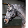 Whitaker Headcollar Leather Ready To Ride Black - Jalex Pet Products  Whitaker Headcollar Leather Ready To Ride Black