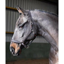 Whitaker Headcollar Leather Ready To Ride Black - Jalex Pet Products  Whitaker Headcollar Leather Ready To Ride Black