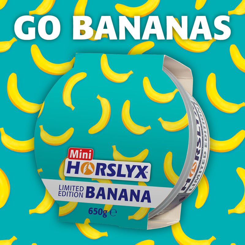 Horslyx Banana Balancer Lick