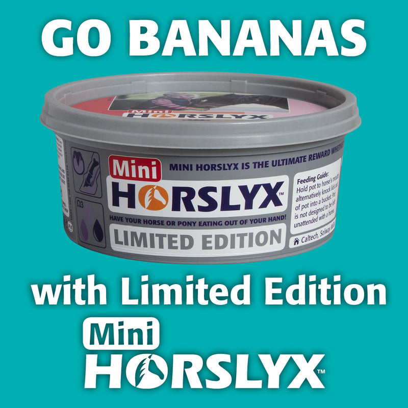 Horslyx Banana Balancer Lick