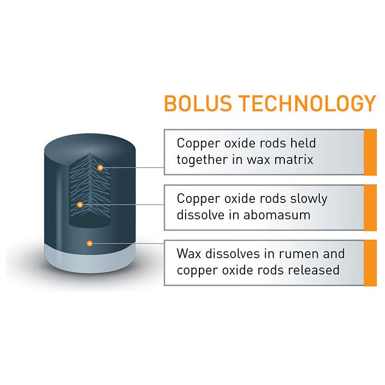 Agrimin 24-7 Copper Bolus Cattle - 24 Pack