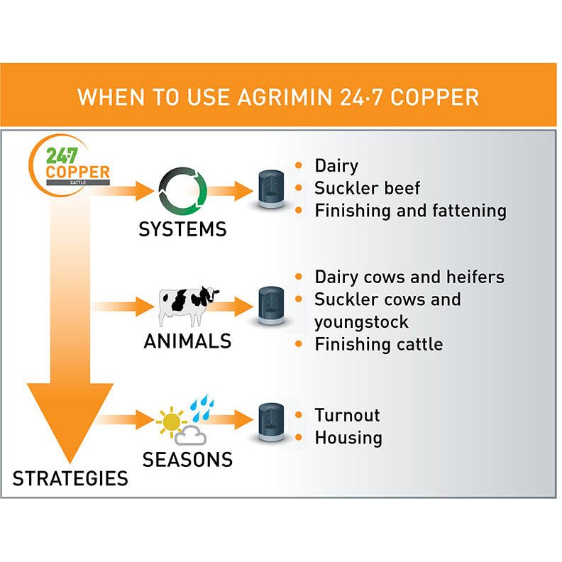 Agrimin 24-7 Copper Bolus Cattle - 24 Pack