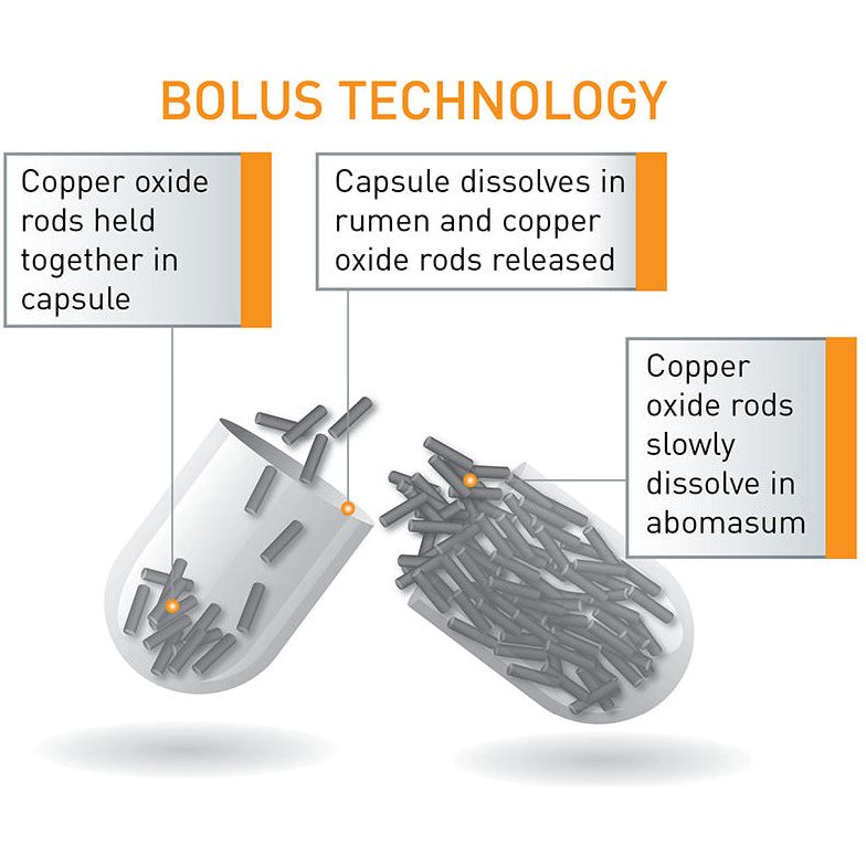 Agrimin 24-7 Copper Capsules Lamb