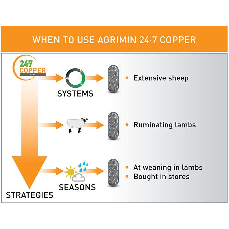 Agrimin 24-7 Copper Capsules Lamb