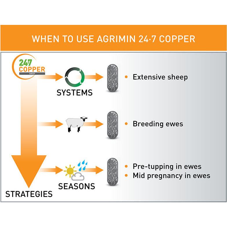 Agrimin 24-7 Copper Capsules Sheep