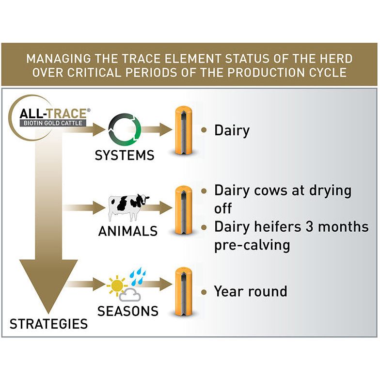 Agrimin All-Trace Biotin Gold Cattle