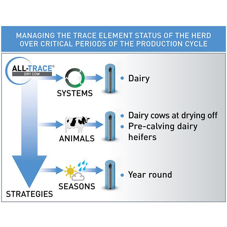 Agrimin All-Trace Dry Cow