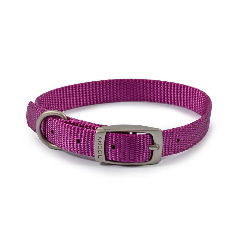 ancol-viva-buckle-collar-purple