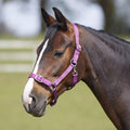 Bitz Everyday Adjustable Headcollar