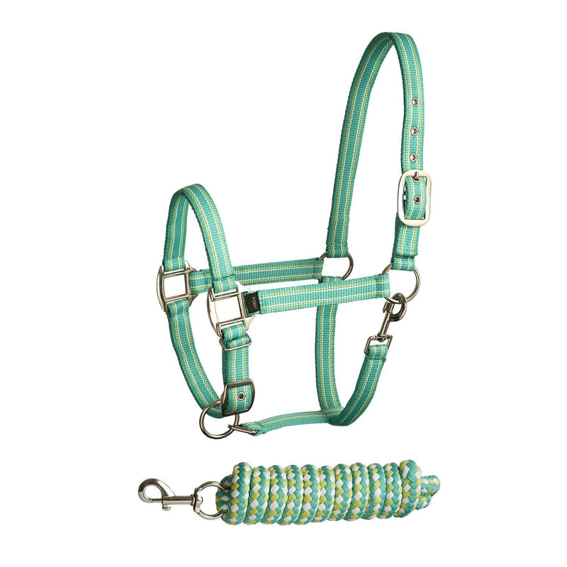 Bitz Stripe Two Tone Headcollar Lead Rope