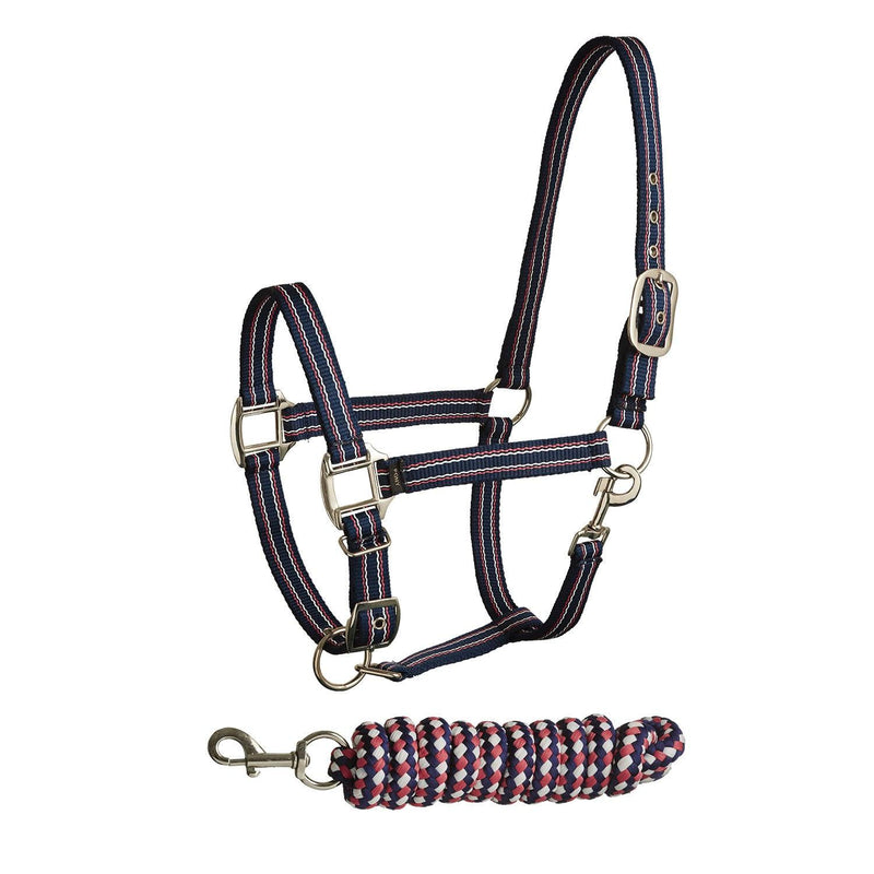 Bitz Stripe Two Tone Headcollar Lead Rope