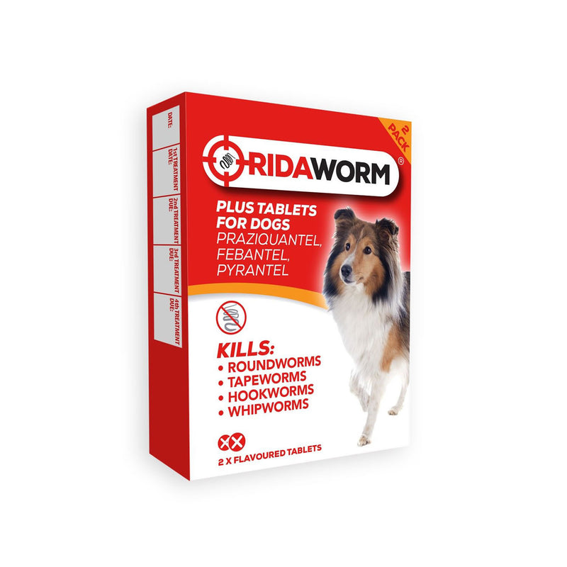 Chanelle RidaWorm Dog Tablets - 2 Pack