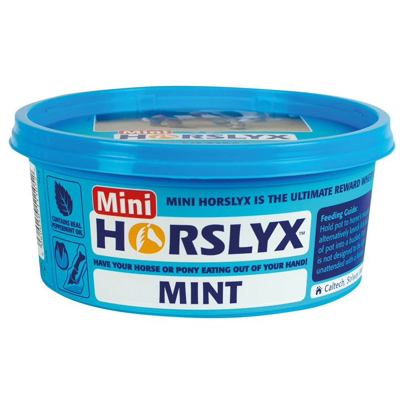 Horslyx Mint Balancer