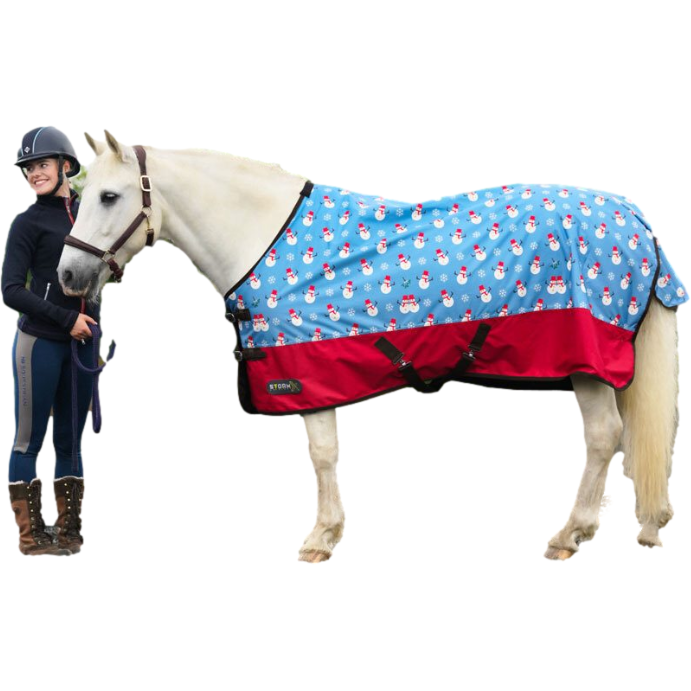 StormX Original Snowy the Snowman 200 Turnout Rug