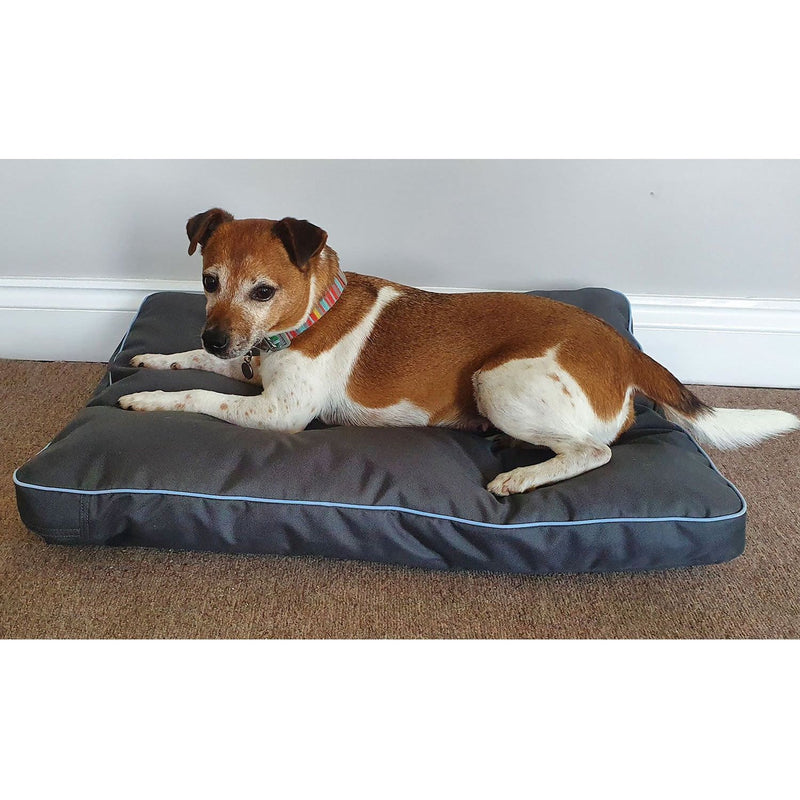 henry-wag-brecon-adventure-bed