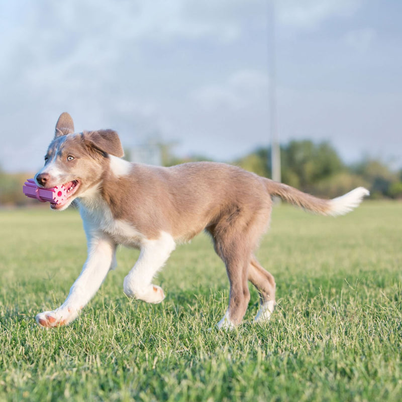 Kong Puppy Teething Stick