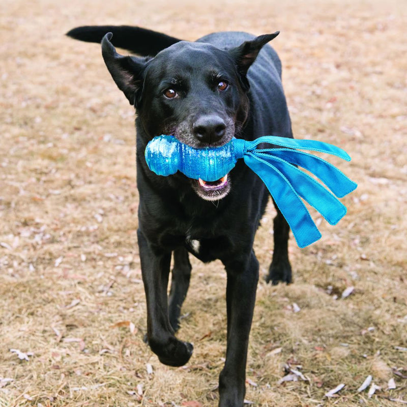 Kong Wubba Comet