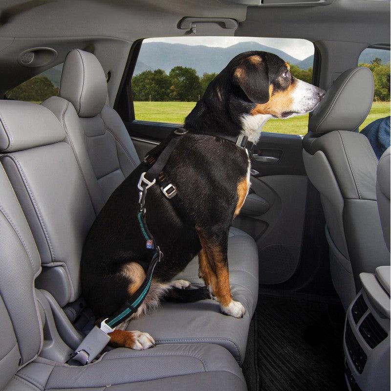 Kurgo Direct to Seatbelt Swivel Tether