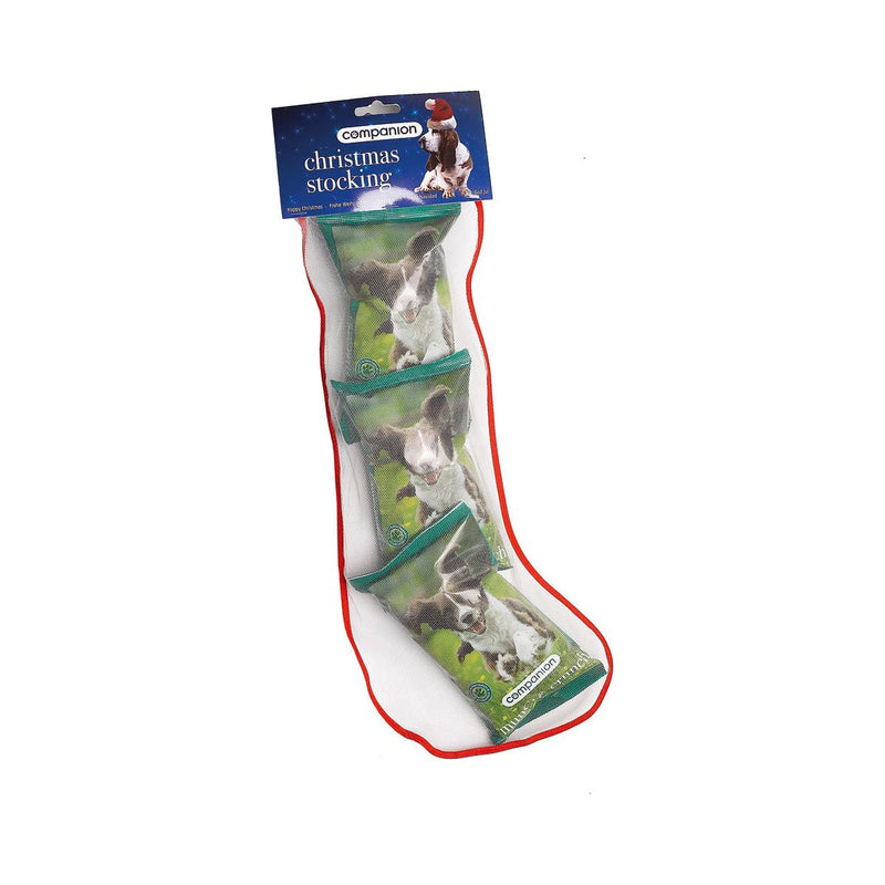 Companion Christmas Treat Stocking