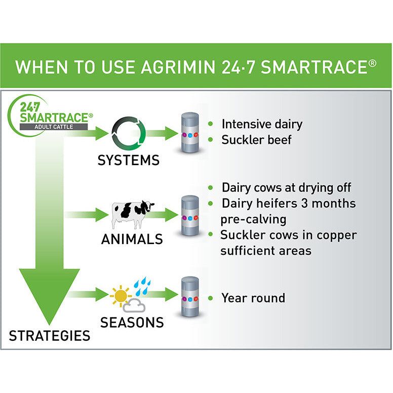 Agrimin 24-7 Smartrace Adult Cattle - 10 Pack
