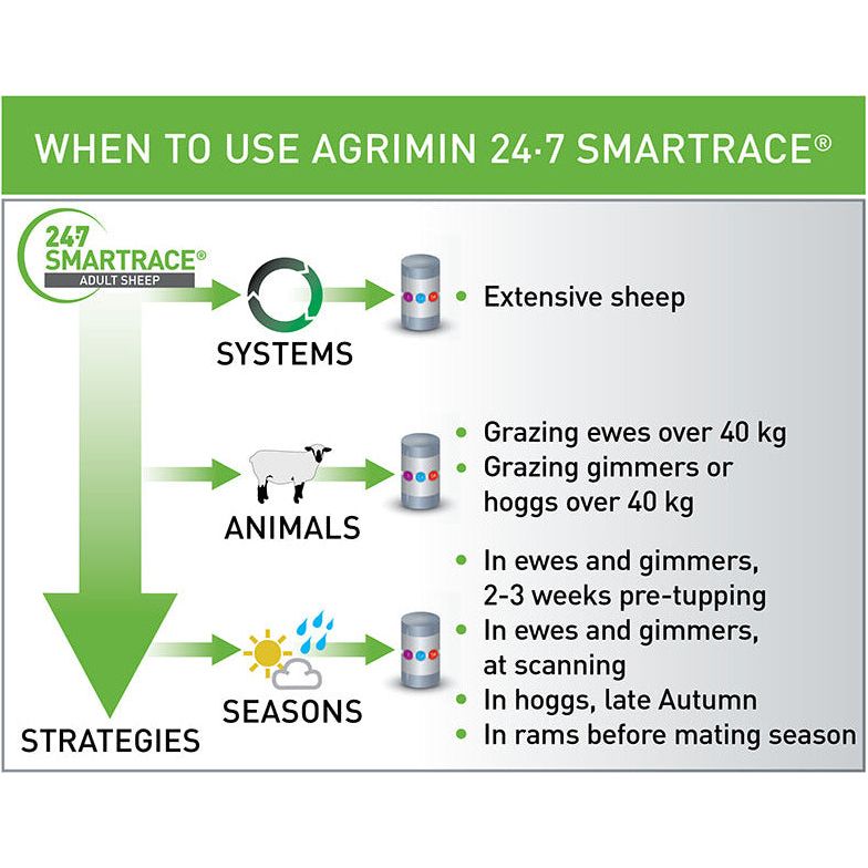 Agrimin 24-7 Smartrace Adult Sheep - 50 Pack