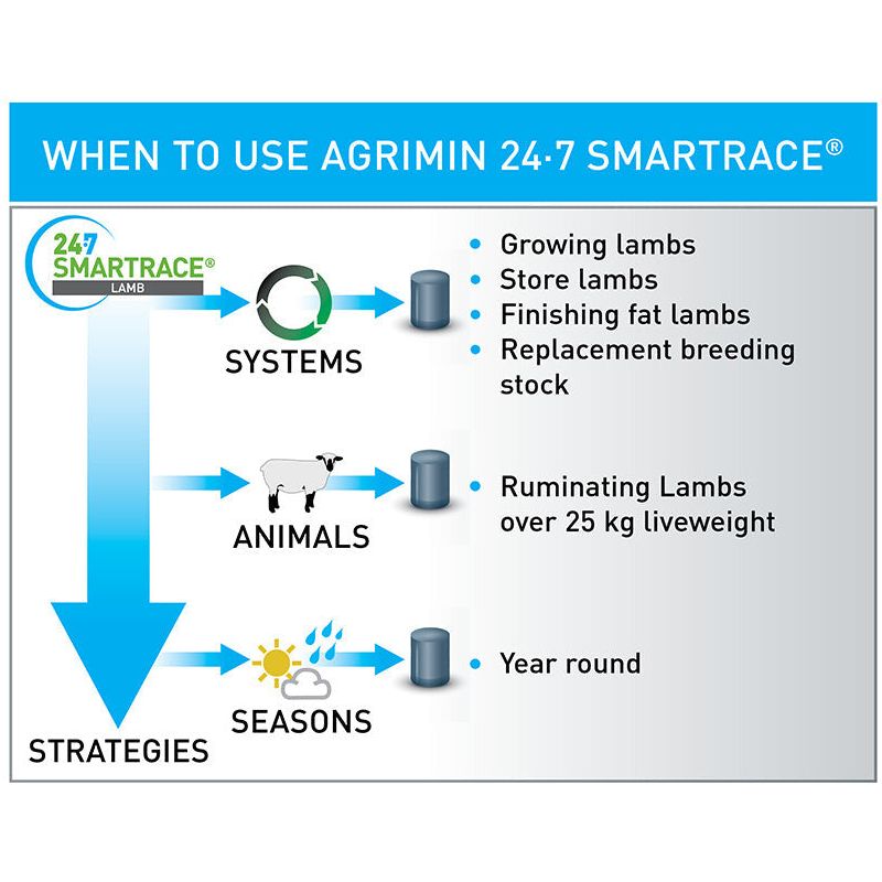 Agrimin 24-7 Smartrace Lamb - 200 Pack