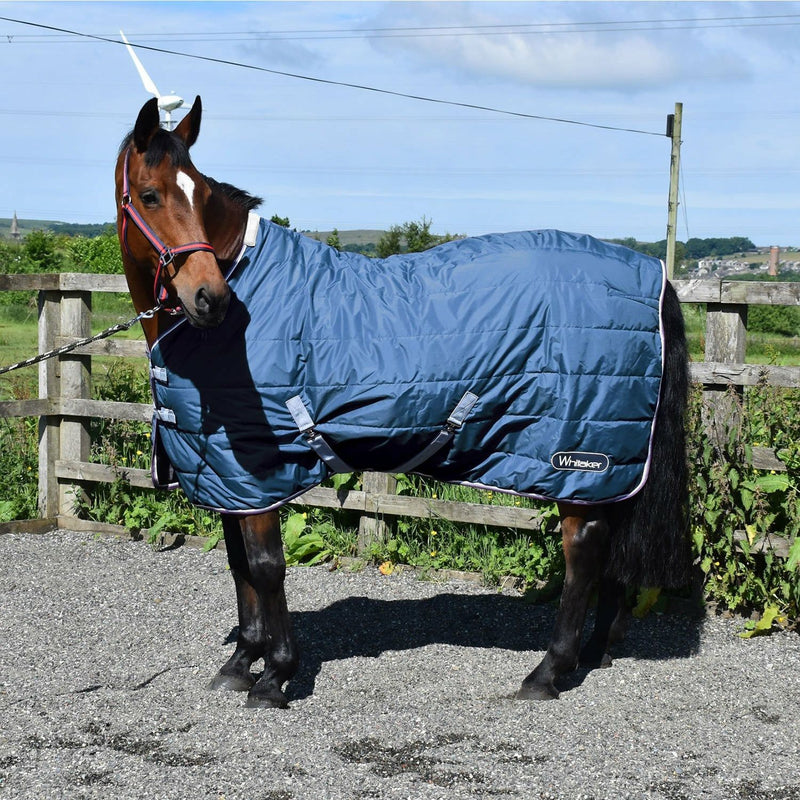 Whitaker Stable Rug Crommpton Petrol
