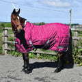 Whitaker Stable Rug Crompton 100 Gm - Various Colours