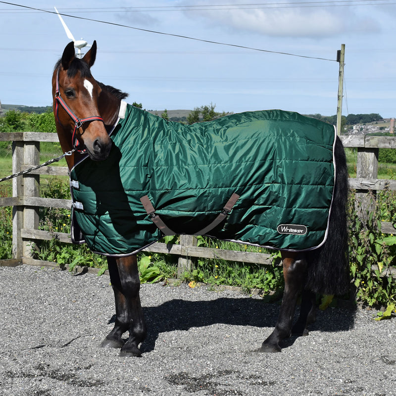 Whitaker Stable Rug Crompton 100 Gm - Various Colours