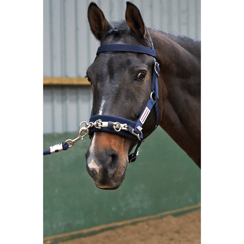 Whitaker Lunge Cavesson Navy Cob