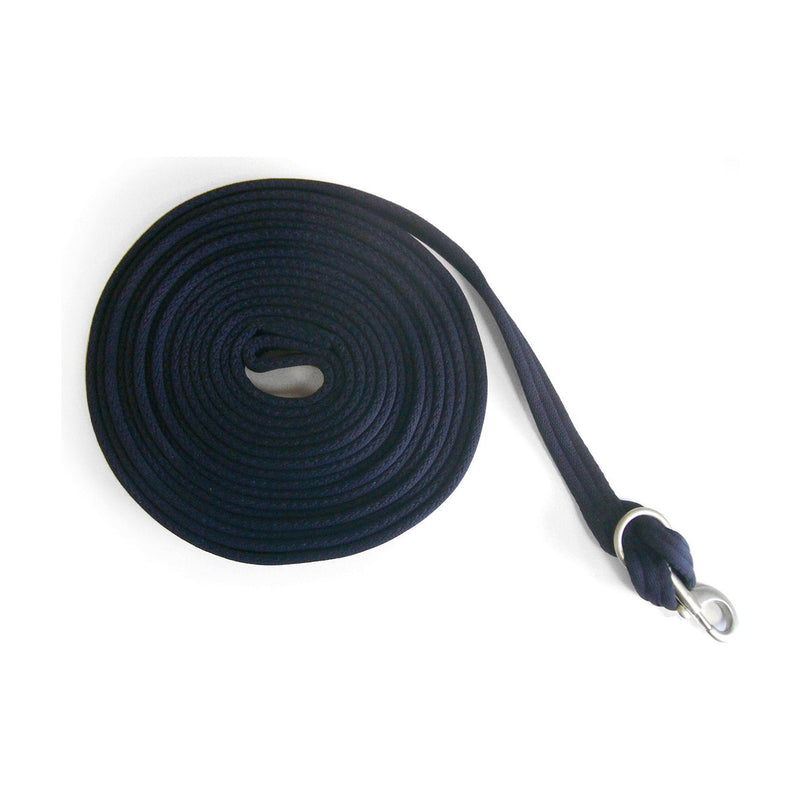 Whitaker Lunge Line