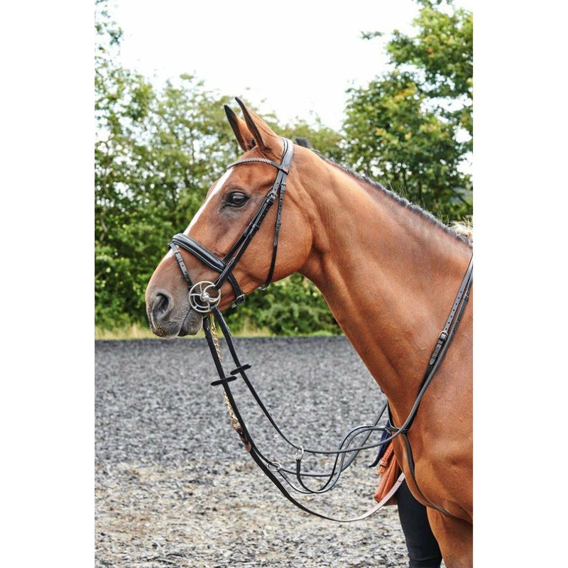 Whitaker Bling Bridle Barton 