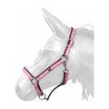 W-Horse Headcollar Harvey Pink/White/Black