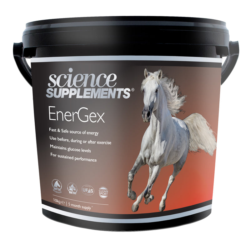 Science Supplements Energex - Horse Energy Supplement