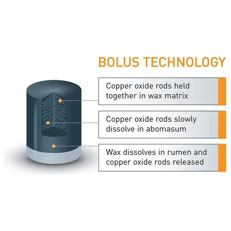 Agrimin 24-7 Copper Bolus Cattle - 24 Pack - Jalex Pet Products 