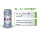 Agrimin 24-7 Smartrace Adult Cattle - 10 Pack - Jalex Pet Products 