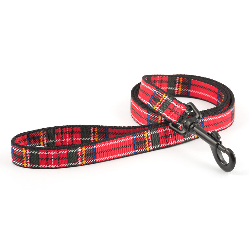 Ancol Patterned Collection Lead - 1M - Jalex Pet Products 
