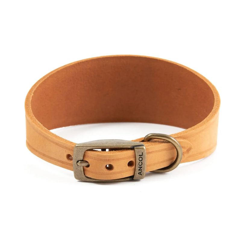 Ancol Timberwolf Hound Collar Mustard - Jalex Pet Products 