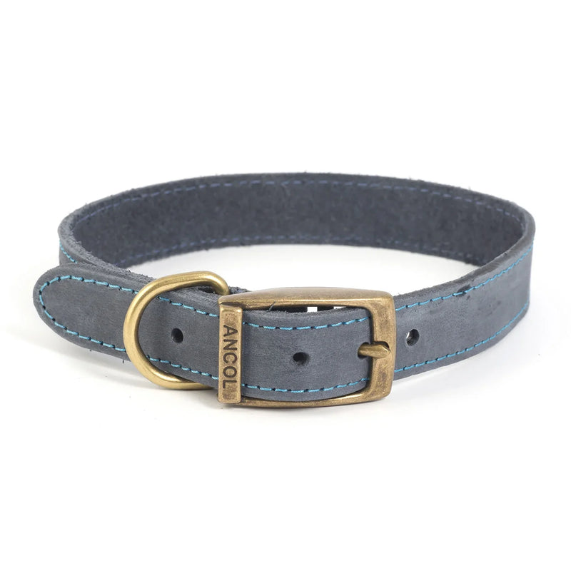 Ancol Timberwolf Leather Collar - Blue - Jalex Pet Products 