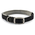 Ancol Viva Padded Buckle Collar - Jalex Pet Products 