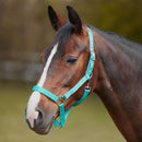 Bitz Economy Headcollar - Jalex Pet Products 