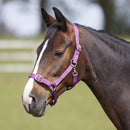 Bitz Everyday Adjustable Headcollar - Jalex Pet Products 